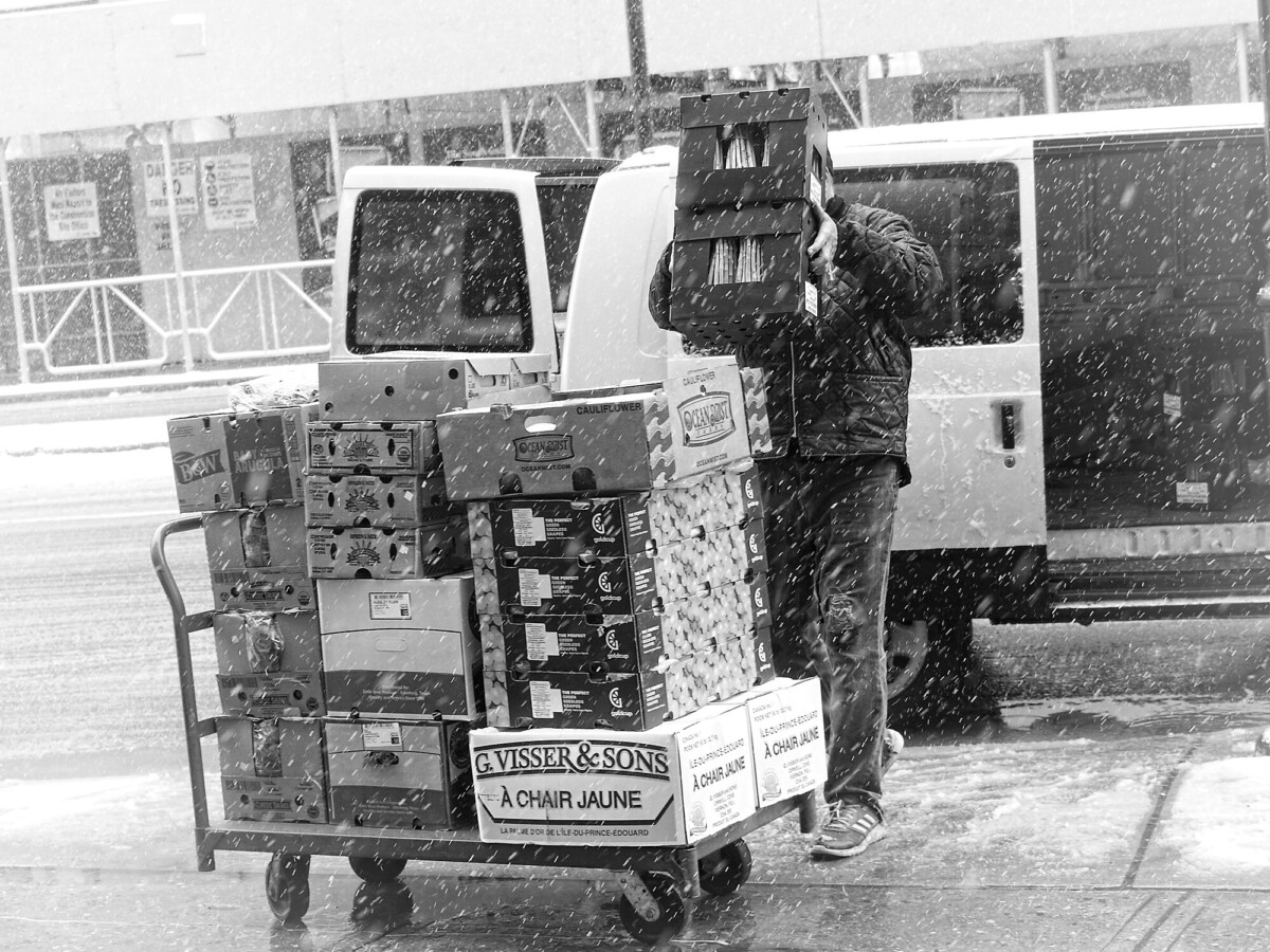 Winter Delivery