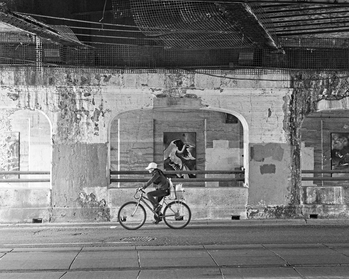 Cycling under the Bridge