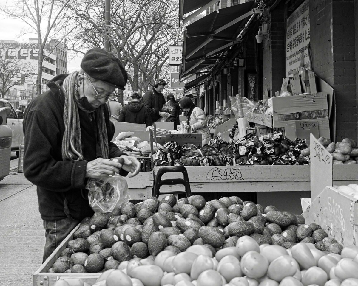 Choosing Avocados