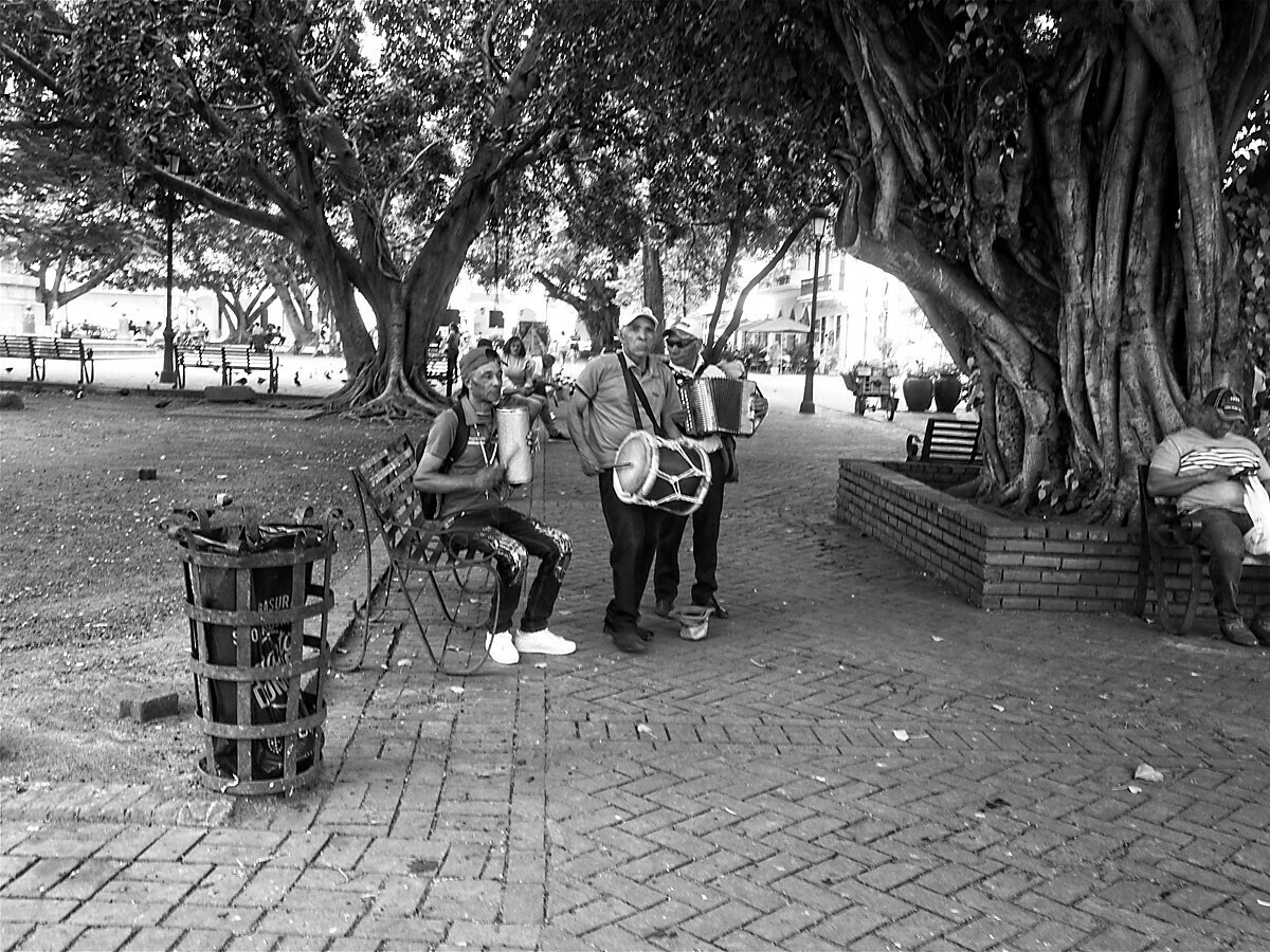 Park Musicians