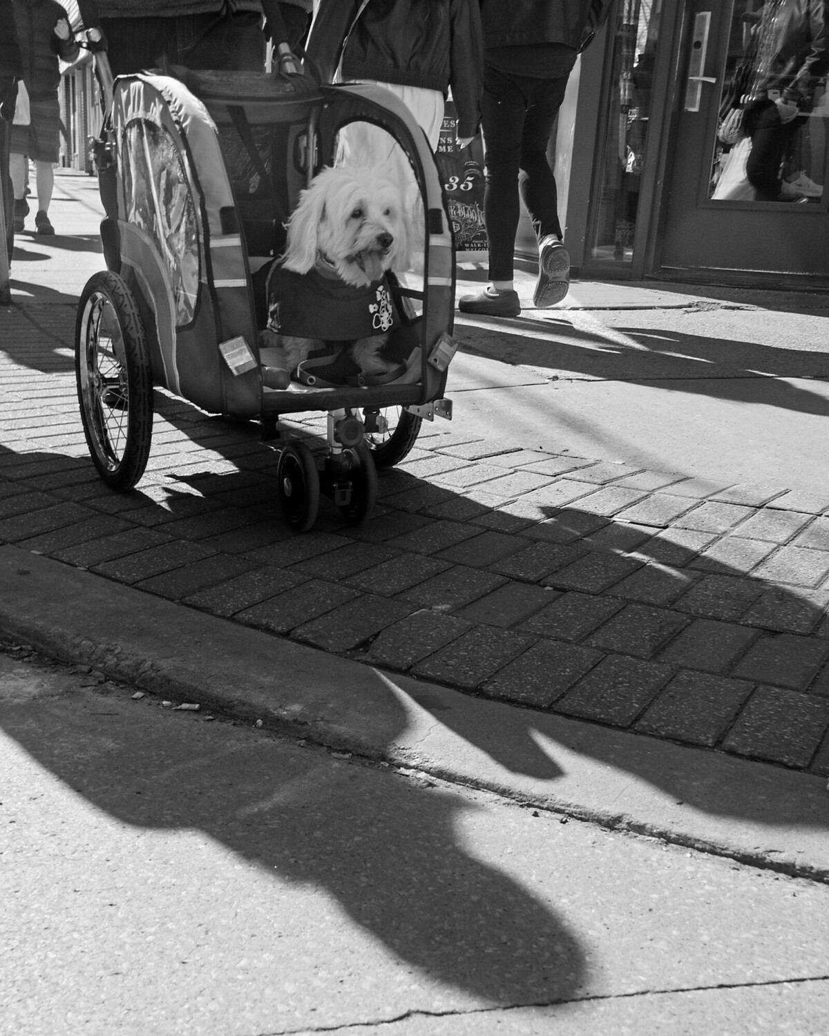 Dog Stroller