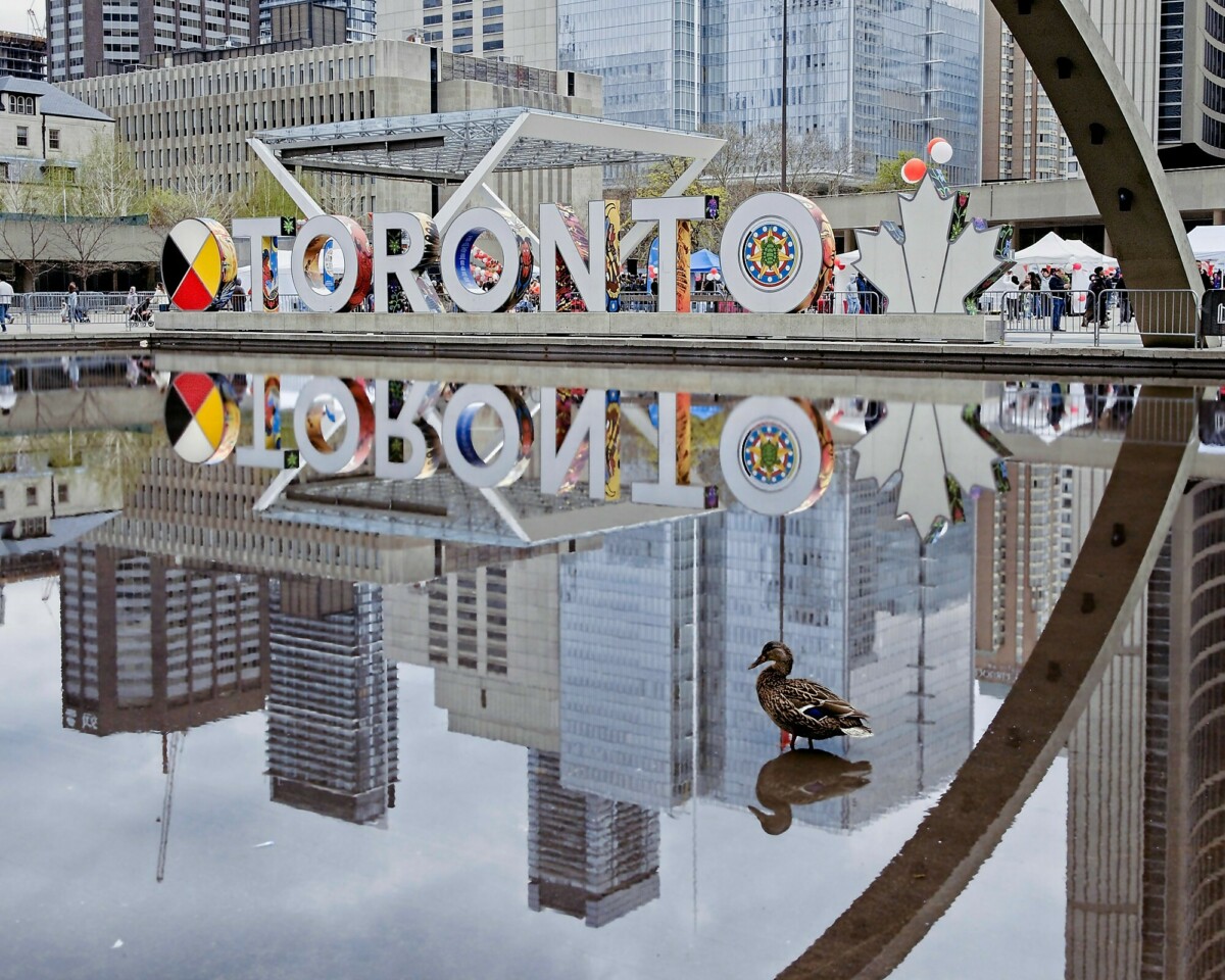 Toronto is Ducky