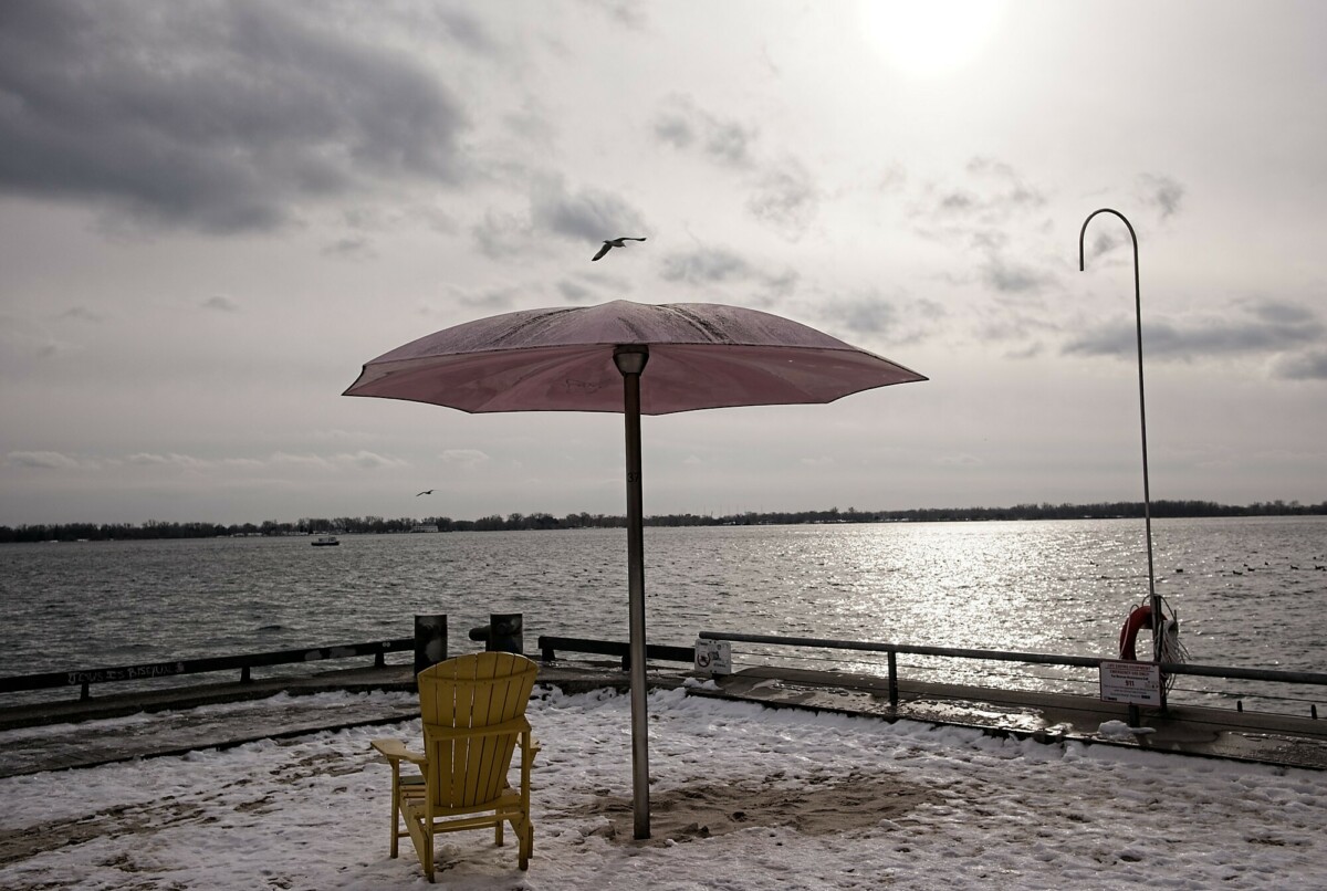 Pink Umbrella