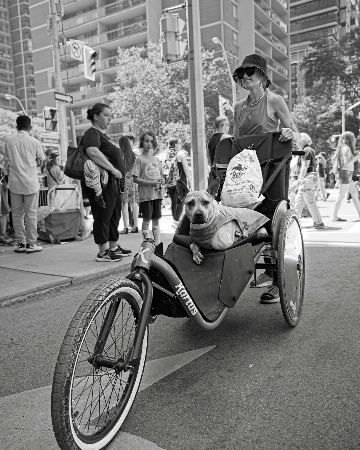 Doggo & The Recumbent Trike