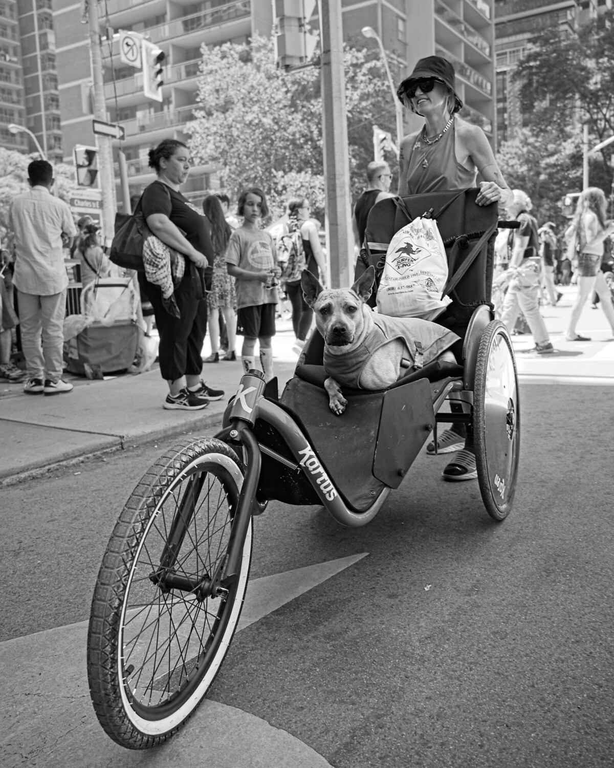 Doggo & The Recumbent Trike