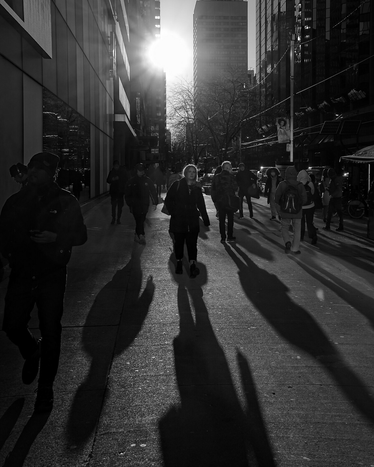 Dundas Silhouettes