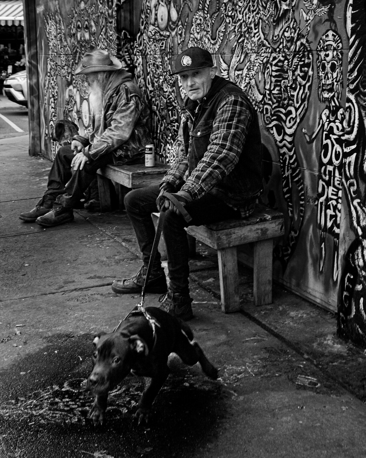 Unfriendly Dog and Owner