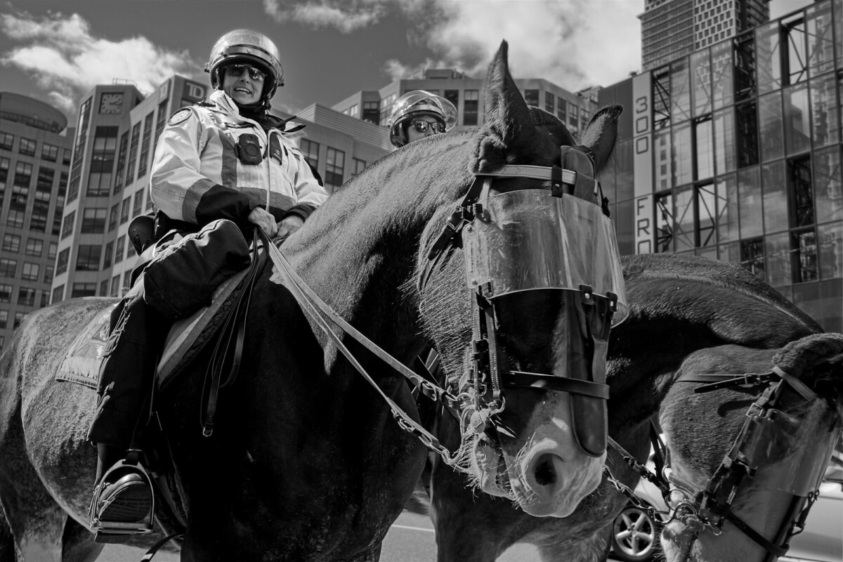 Toronto Mounted Police