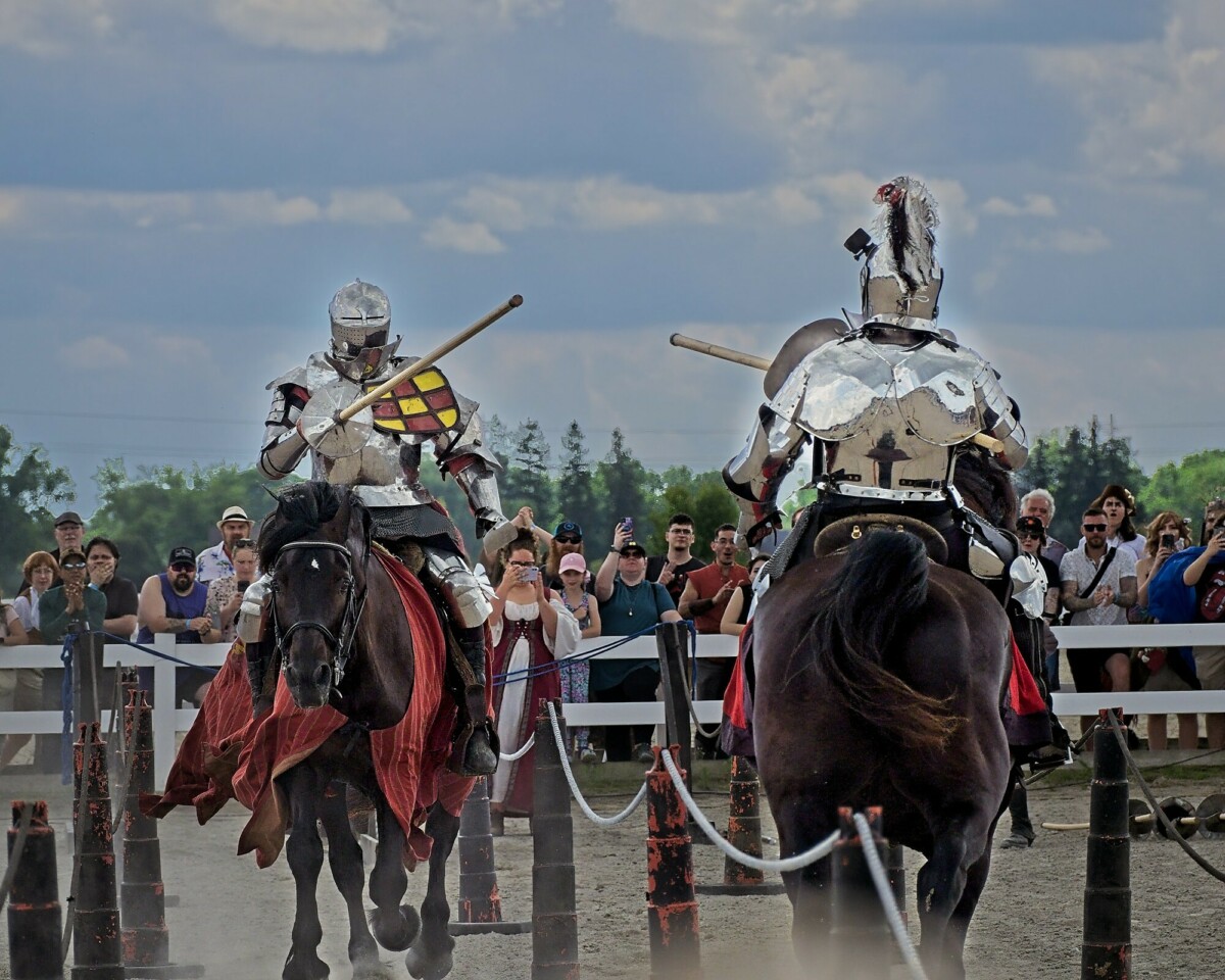 Jousting Tourney