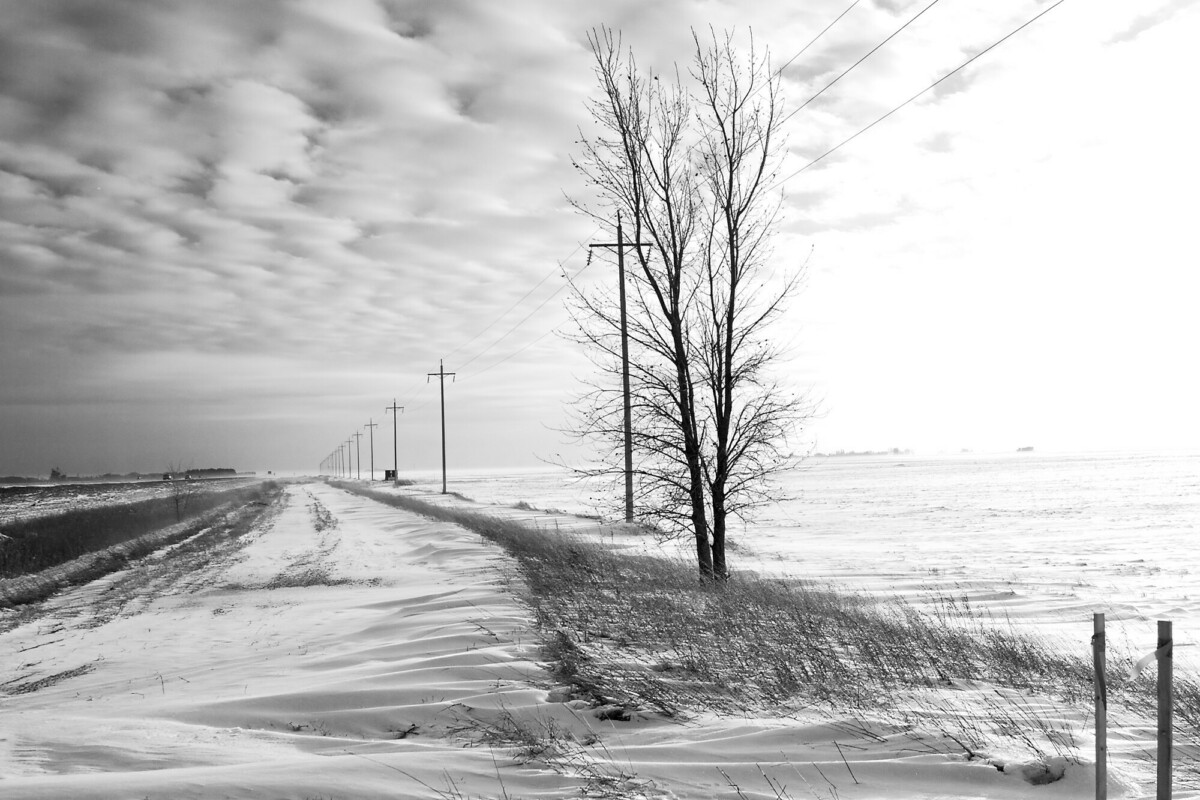 Manitoba Winter