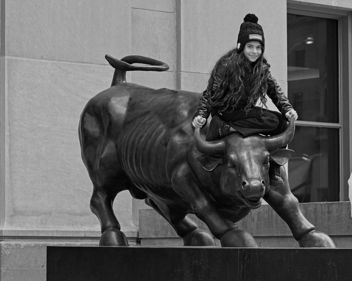 Bull Rider
