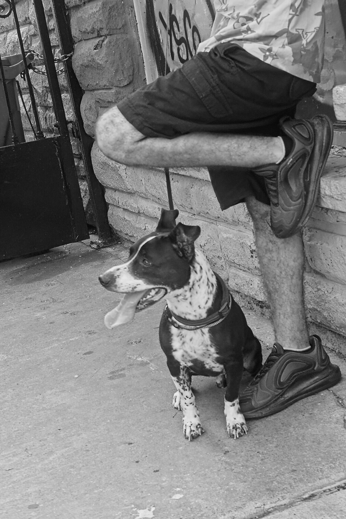 A Dog and his Man