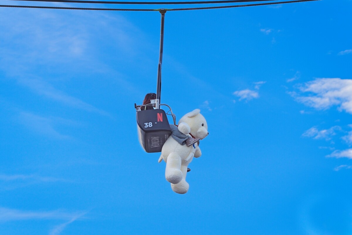 Blue Sky Polar Bear