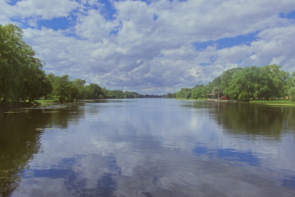 Island Landscape