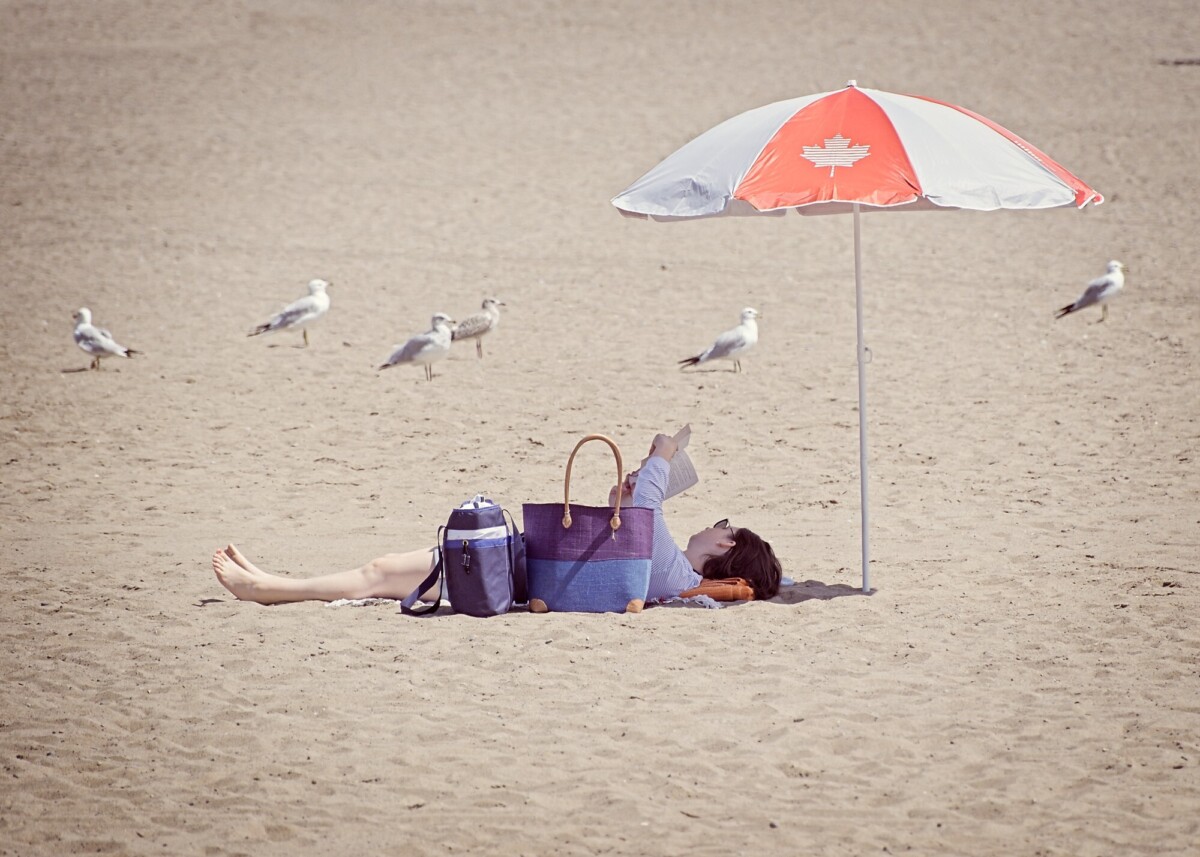 The Best of Summer