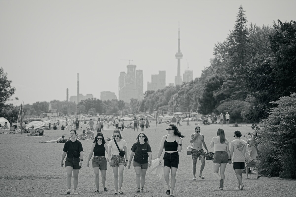 A walk on the beach