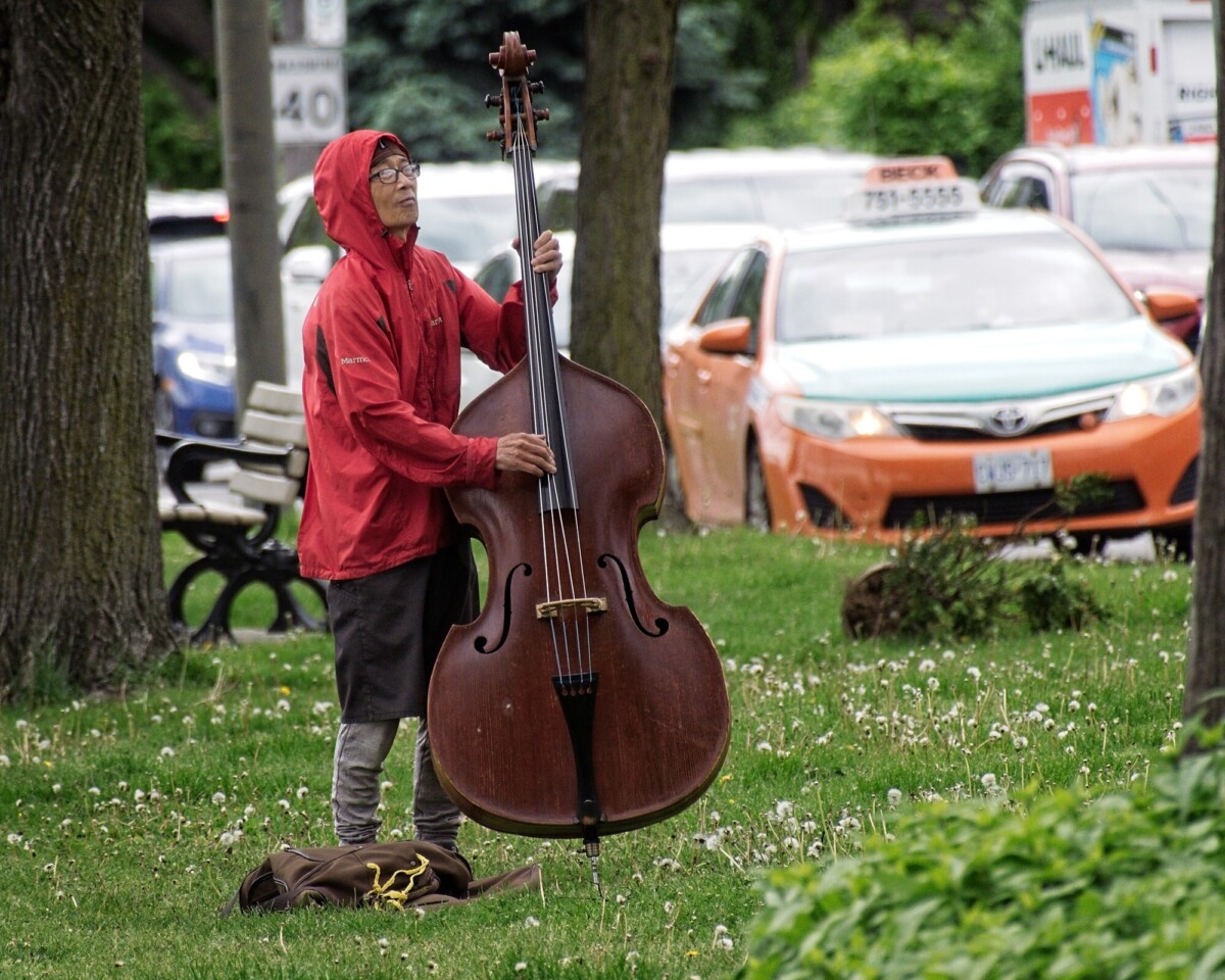 Bass