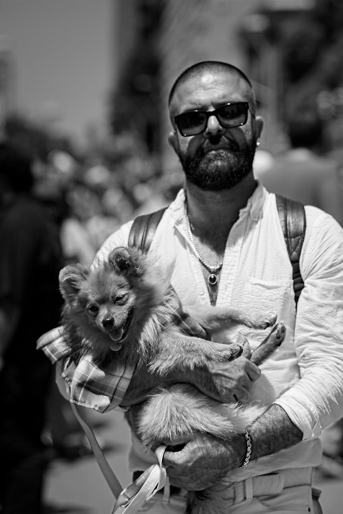 A Man and His Dog