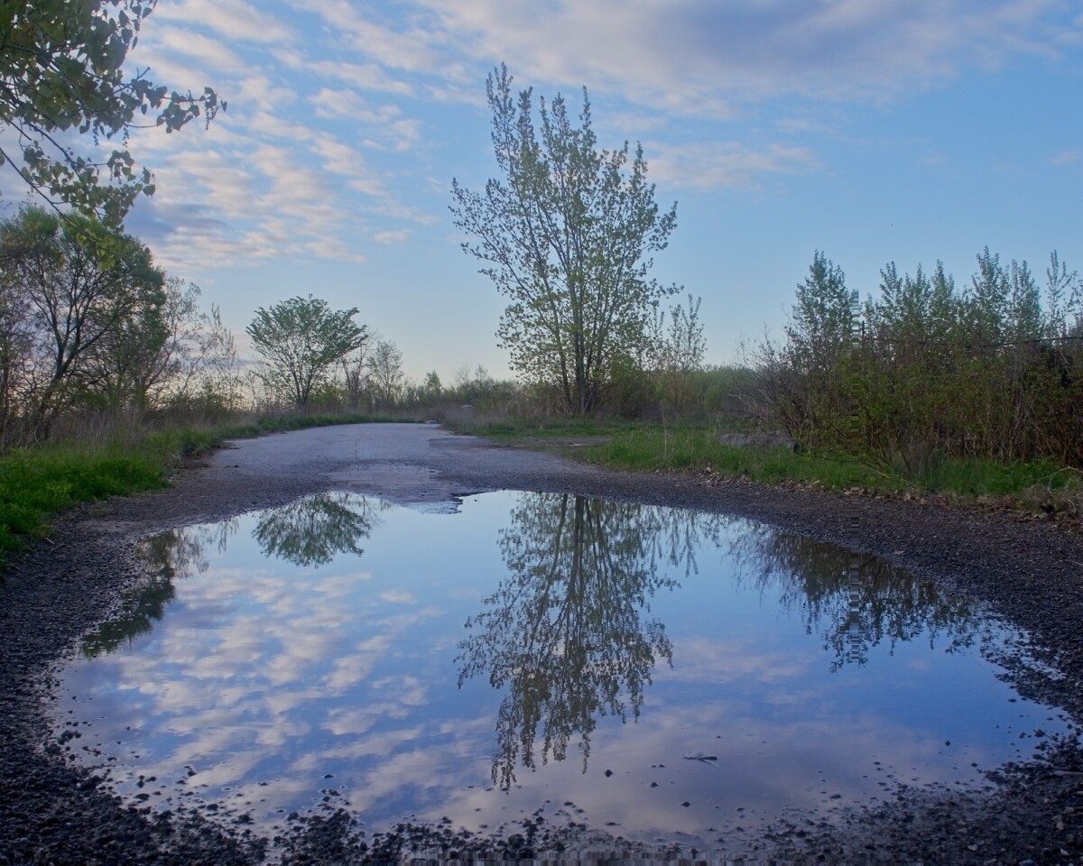 Puddle Reflection