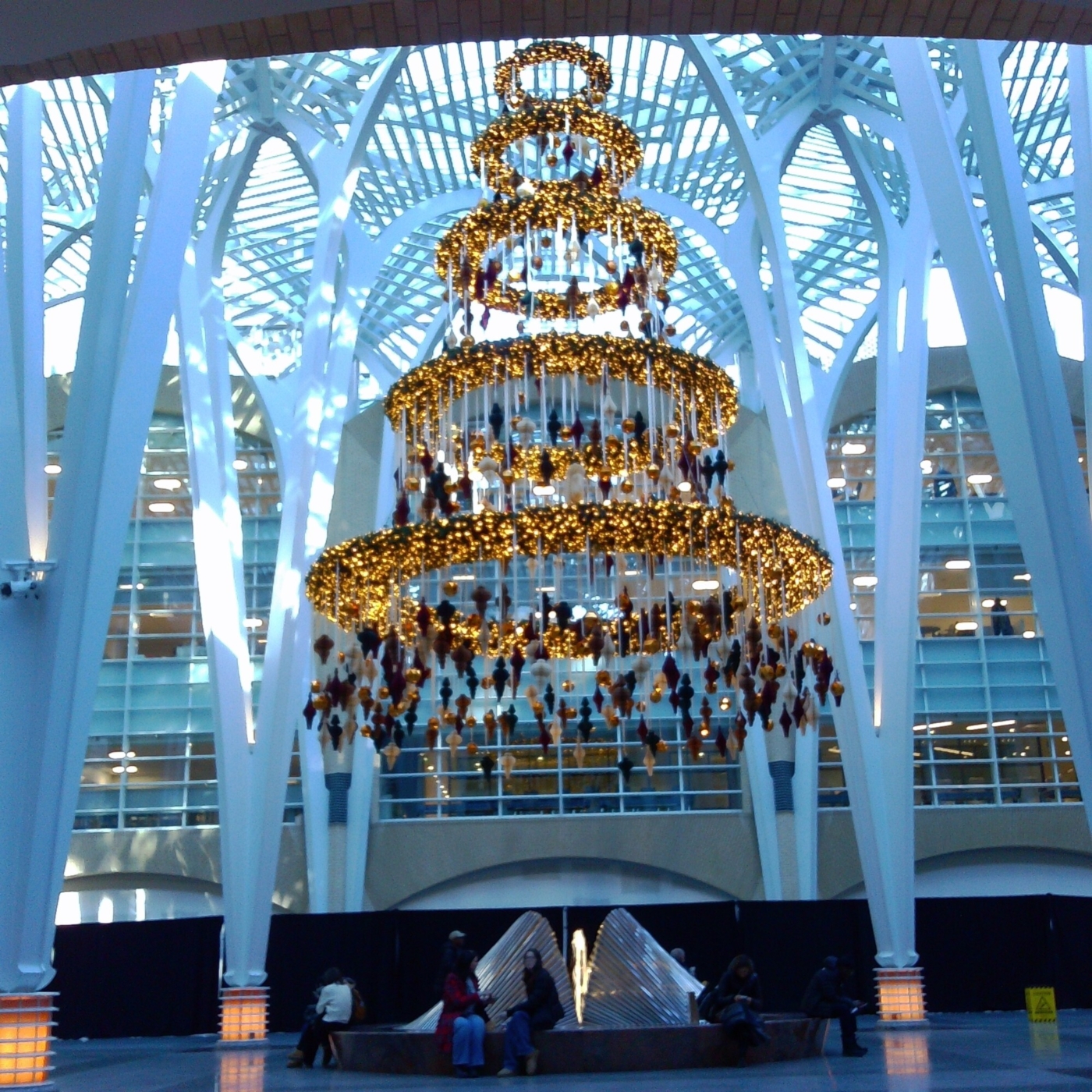 2025 December chuzhao 016