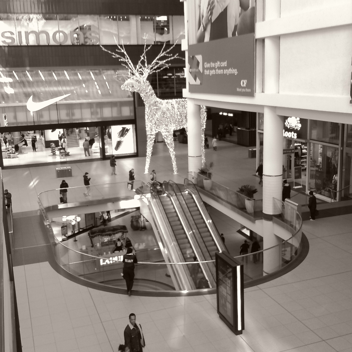 2025 December chuzhao 025