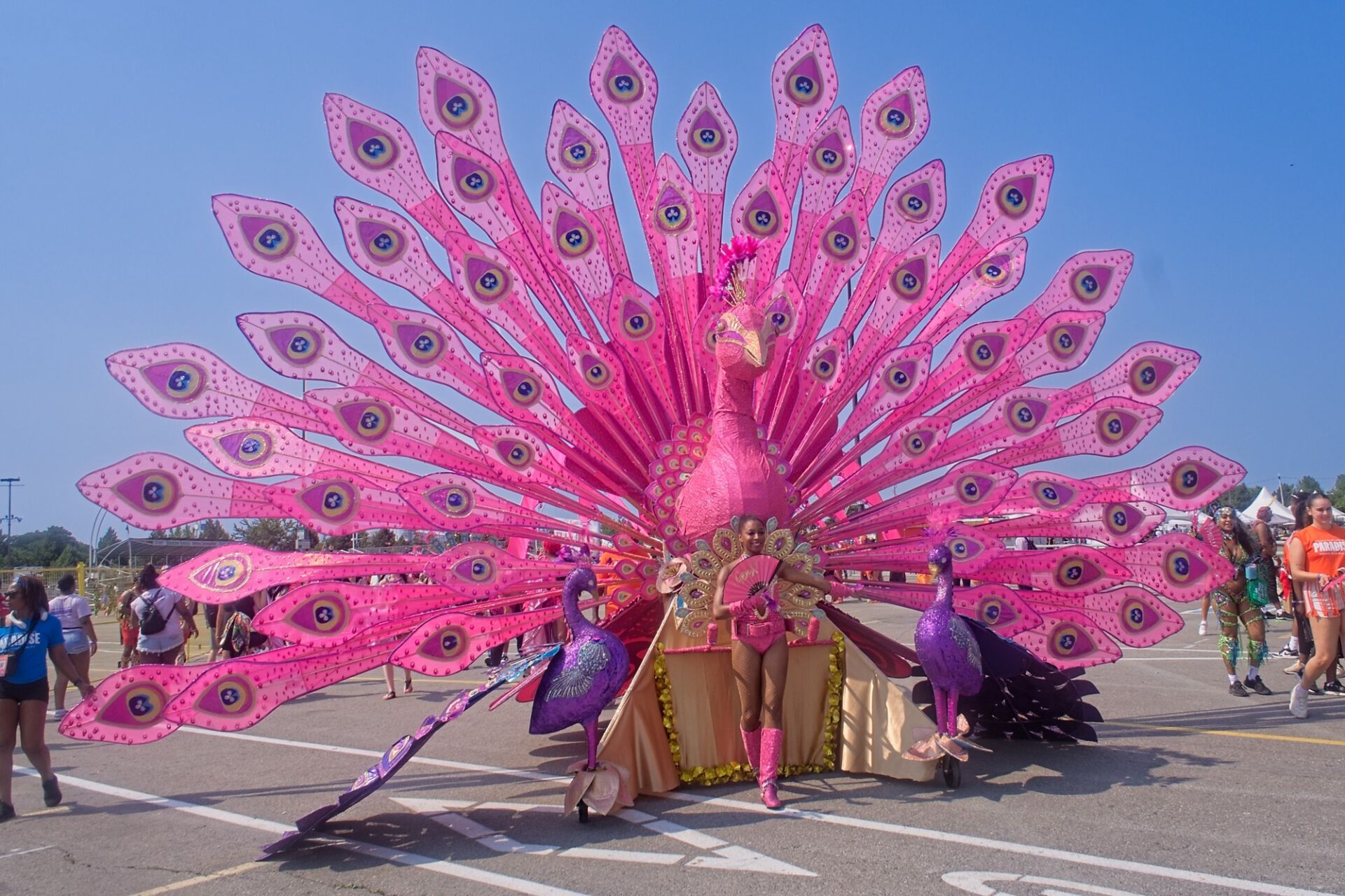 2025 August caribana 020