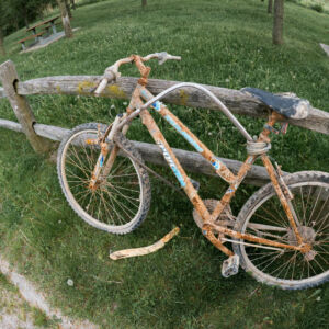 Abandoned Bicycle 2016