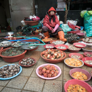 Fish Market 2106