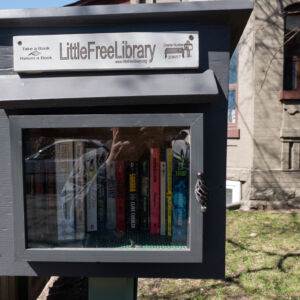 Free Library 2015