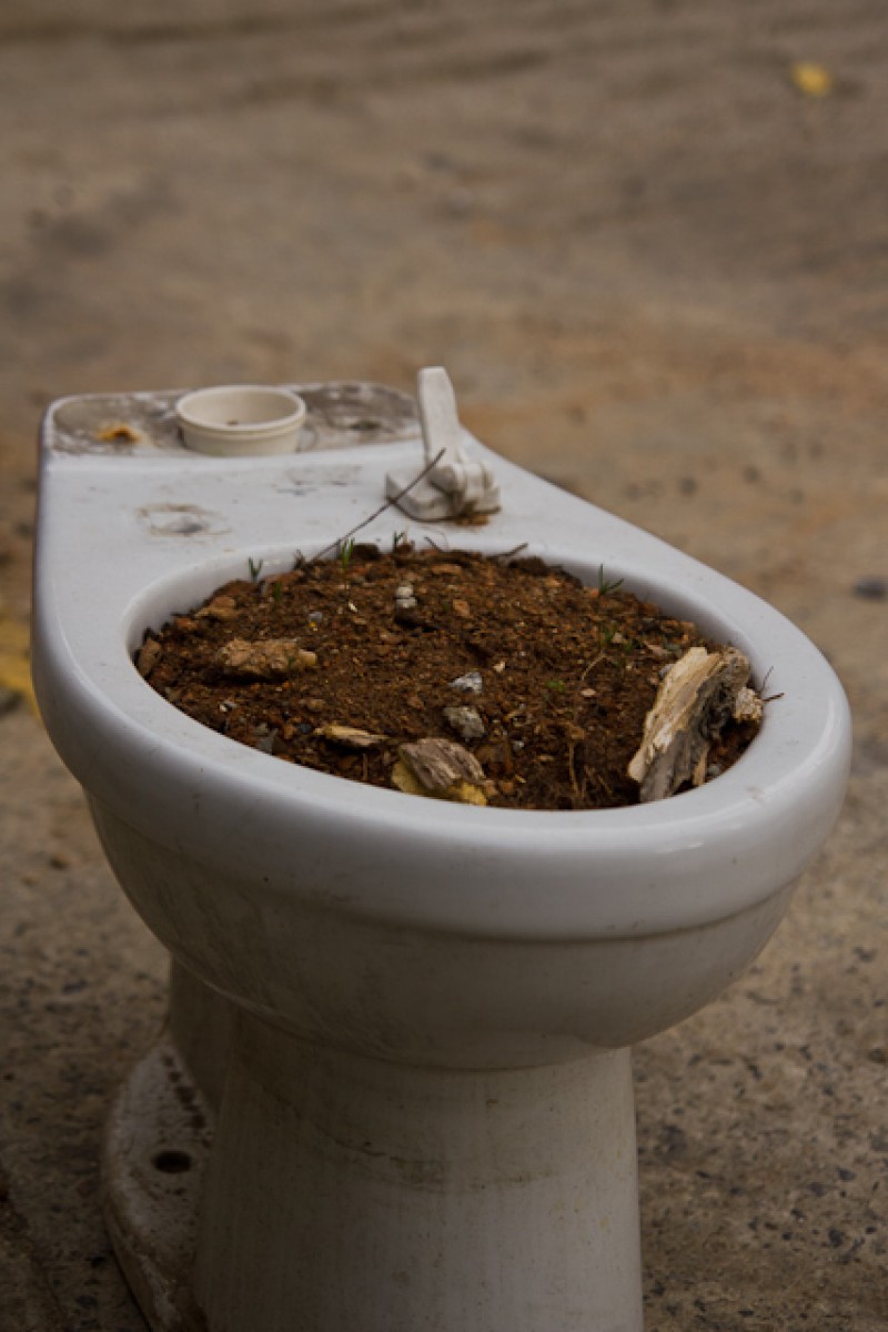 potd-day-117-toilet-pot-sean-s-photos